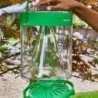 Fly Trap L
