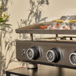 Silvia IIG Evo Stainless Steel 4 Burners + + Cover included