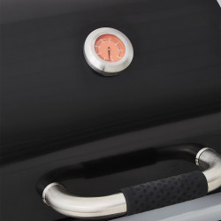 Bi Energy L + Cover included