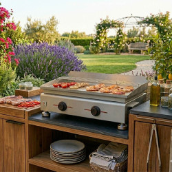 Plancha Silvia IIG électrique inox