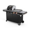 Bi-Energy L Charcoal Barbecue and Gas Griddle