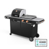 Bi-Energy L Charcoal Barbecue and Gas Griddle
