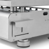 Silvia IIG Inox 2 feux