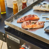 Plancha Carmen Plaque inox