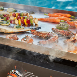 Plancha Carmen Plaque inox