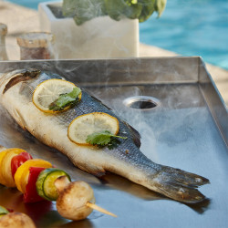 Plancha Carmen Plaque inox