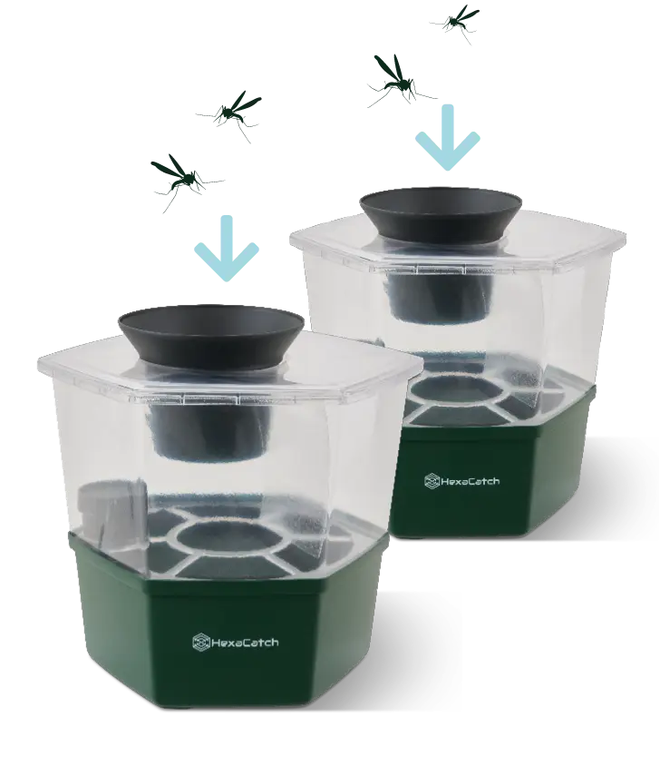 packs MosquitoMagnet