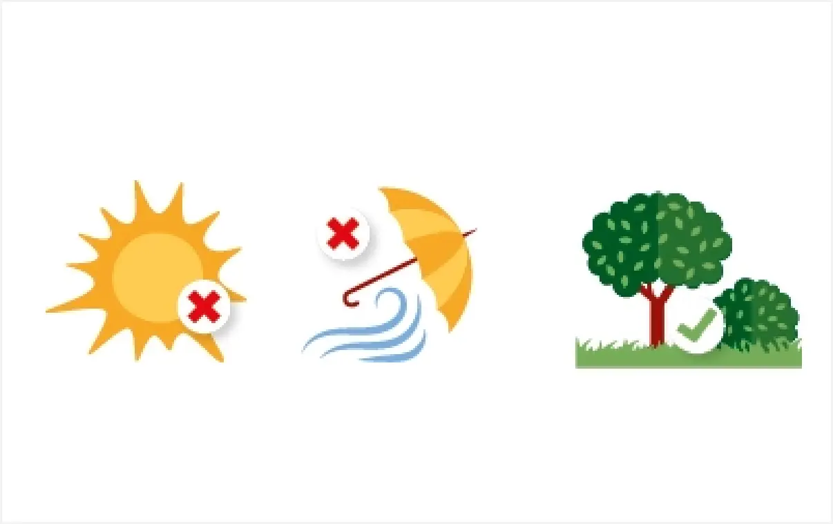 image tab