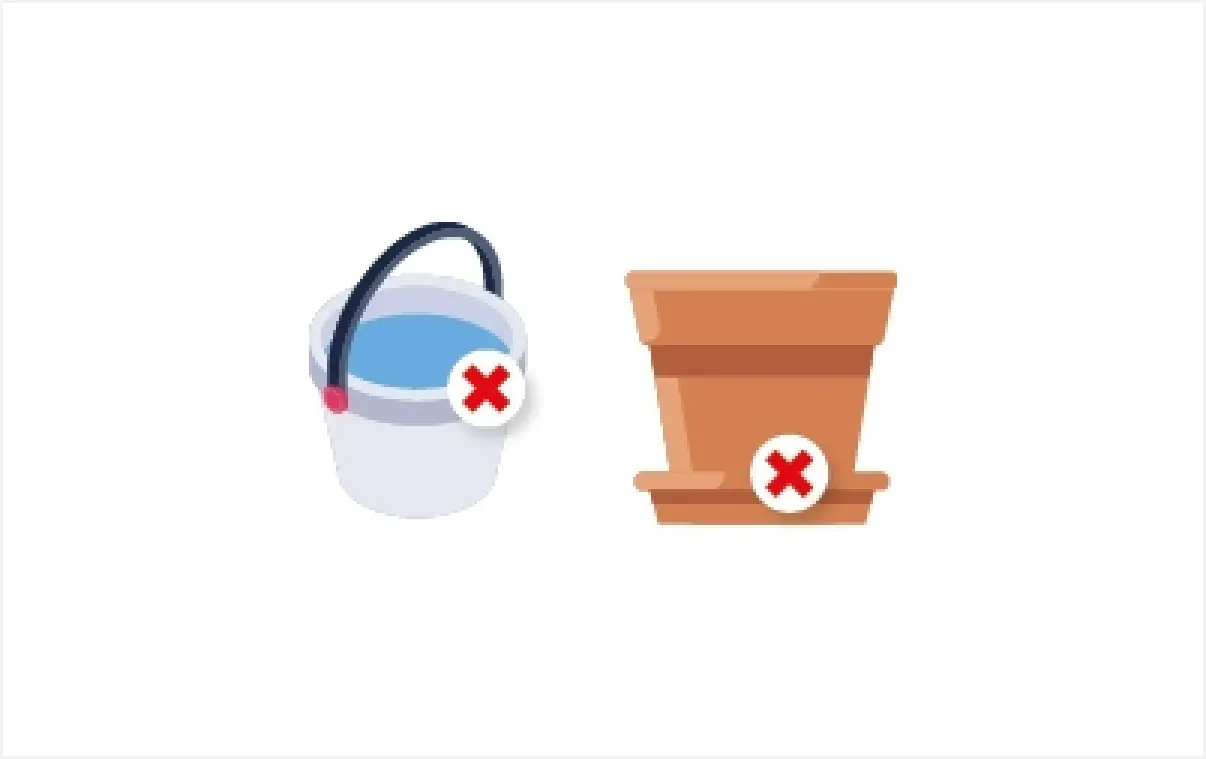image tab